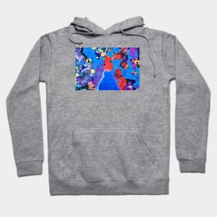 Colors of ephemeral art IV / Swiss Artwork Photography Hoodie